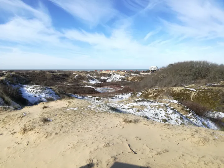 De Panne in de sneeuw (België)